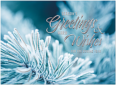 Warm wishes for a festive holiday and a bright and happy new year. Frosted Branch H3330U-AA